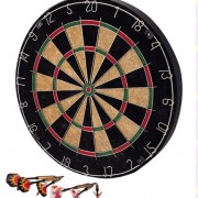 Bristol Dartboard